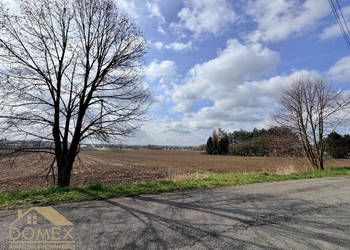 Działka 10730m2 Bełsznica