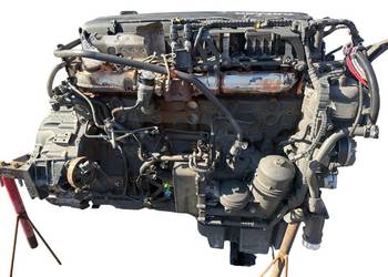 Blok silnika silnik głowica daf xg xg+ XF xd 300tys.km 2023rok