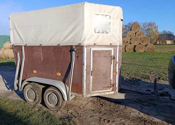 Przyczepa do przewozu koni