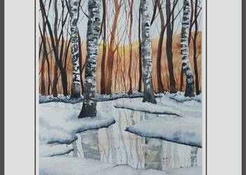 Akwarela Akwarelka Obraz pt: Czar Brzóz