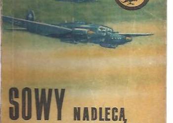 ŻÓŁTY TYGRYS - SOWY NADLECĄ O ŚWICIE - KRZYCKI M.