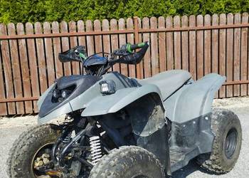 Quad Polaris Phoenix 200 automat wał kardana Bashan Barosa Shineray zamiana