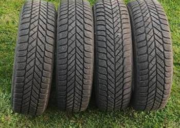 Opony zimowe Dębica Frigo 2 165/65 R14
