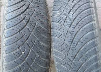 Zetex 175/70R14 Wielosezon