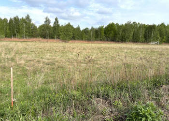 Działka z warunkami zabudowy – Pustelnik, 37 km od Warszawy