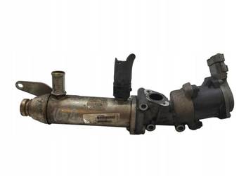 CHŁODNICA SPALIN 4U3Q-9Y493-BJ  2.7 HDI Peugeot 607 I (1999-2010)