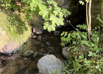 Działka z linią brzegową