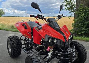 Quad  Egl Rush / Mad Max 250cc Kat B Duża rama Zarejestrowany!