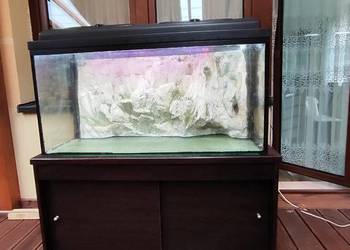 Akwarium ,stolik, osprzęt