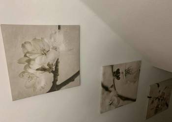 Obrazy na klatke schodowa