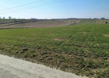 Grunt 1959m2 Jakubowice Konińskie-Kolonia