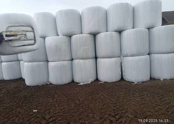 Sianokiszonka, 200 sztuk