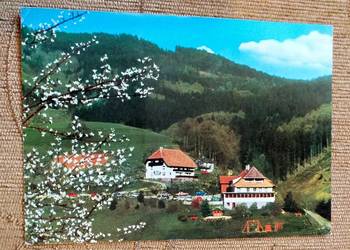 WIDOK NA TERENY PARKU NARODOWEGO W BAD BUCHAU