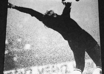 Cnoty i błędy - Witold Duński