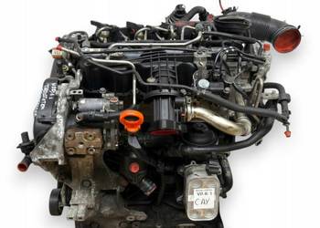 SILNIK CAY VW Golf VI Polo V Touran II 1T Passat B6 B7 1.6 TDI diesel CAYC