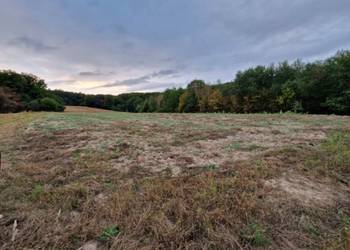 Syndyk sprzeda nieruchomość niezabudowaną - Nawodzice
