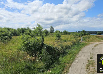 Działka 9800m2 Laska