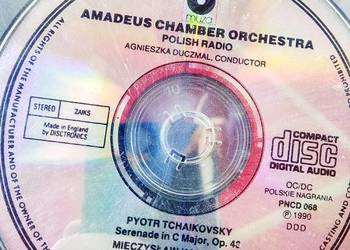 Amadeus ChAmber Orchestra Czajkowski  rosyjscy kompozytorzy