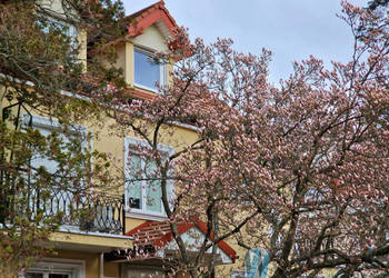 Oferta wynajmu lokalu Warszawa 40m2