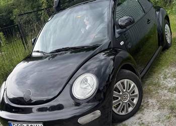 Vw beetle polecam