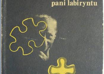 ZMĄCONY SPOKÓJ PANI LABIRYNTU - ALEX JOE