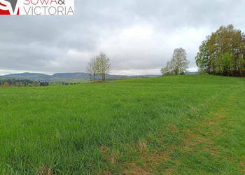 Sielankowa działka z lasem, cisza i spokój
