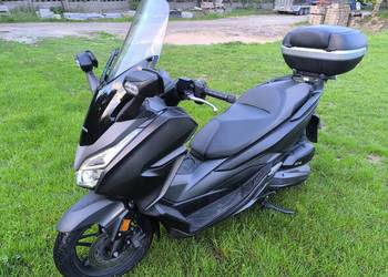 FORZA125 2019 rok  23000 przebieg