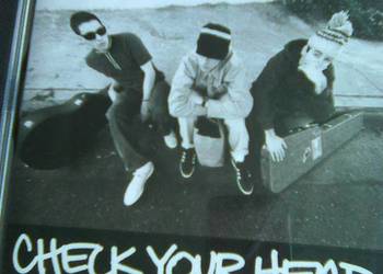 Beastie Boys Check Your Head