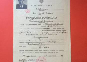 ( 1748 ) Świadectwo Dojrzałości Liceum, Tchórzewski