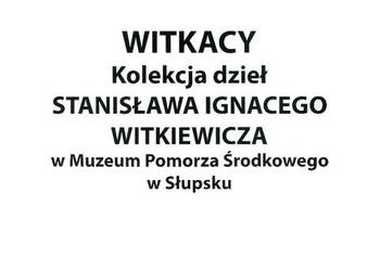 Witkacy - kolekcja dzieł Wkładka w języku polskim do albumu