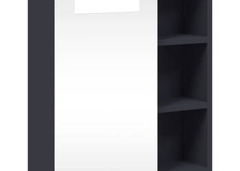 Szafka łazienkowa z lustrem i LED szara 45x13x52 cm WM-357966