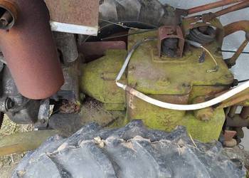 Sprzedam ciagniczek dzika 21  ,dzika 2