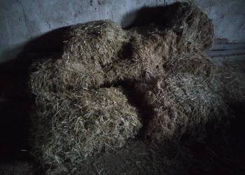 Siano i słoma kostka