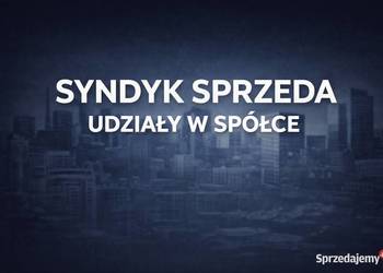Syndyk sprzeda 92 udziały w spółce SWEET CAKE sp. z o.o.