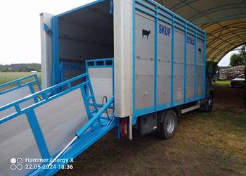 iveco daily 70C17 do przewozu zwierząt