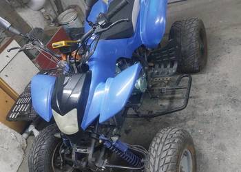 Bashan 200