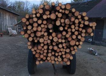 Stemple budowlane sosnowe 3m – duże ilości, stała dostępność