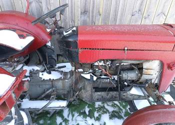 Witam sprzedam ferguson MF25