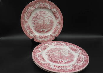 Talerze płytkie obiadowe River Scenes English Ironstone Tableware 3szt.