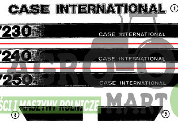 129170A1 NAKLEJKA CASE INTERNATIONAL 7240 RH CNH