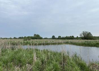 Działka z dostępem do naturalnego stawu 1091 m2 w otulinie rzeki Wieprz
