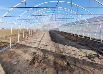 Tunel foliowy, DUŻY, konstrukcja 7x30m (210 m²)