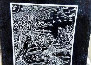 Czarne ściągi literatura współczesna matura antykwariat