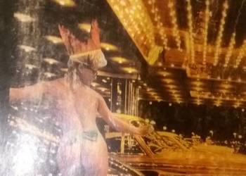 Niebezpieczny Disneyland książki Brown unikatowe prezenty