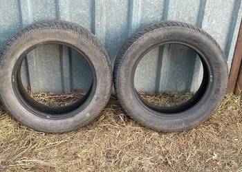 Opona Kleber 205/55/R16 Krisalp 2 sztuki