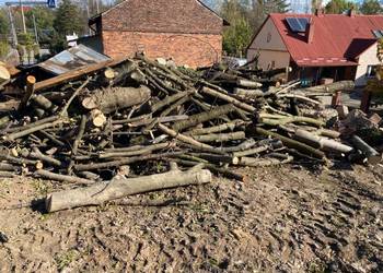 Drewno opalowe, na opal jesion