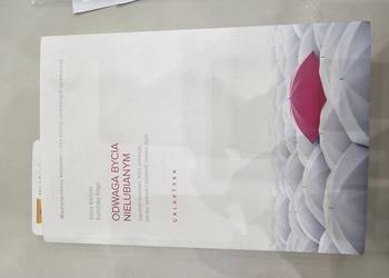 Odwaga bycia nielubianym Kishimi Koga BESTSELLER fenomen japoński psycholog