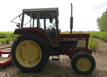 International 484