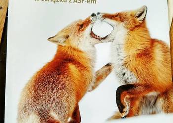 Zmiany w ustawach łowieckich unikatowe Zmiany w ustawach łowieckich unikatowe