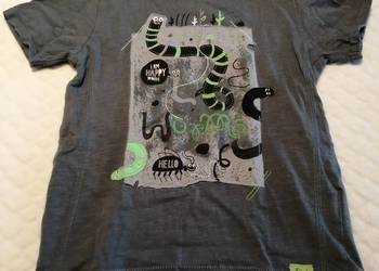 Koszulka, krótki rękaw, T-shirt, robaczki, 110, Smyk (Odzież